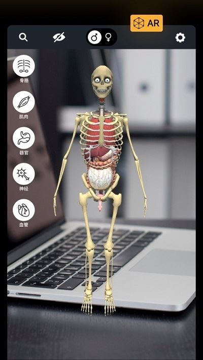 发现人体AR最新下载  v7.13.0