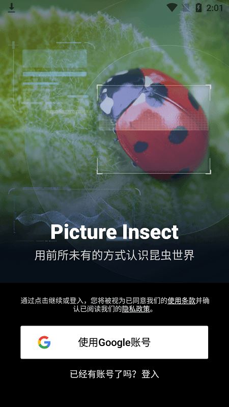 picture insect软件