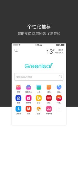 绿叶浏览器下载  v4.0.1