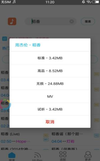 歌词适配3.9.3 app图片1