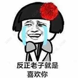 2019情人节表白表情包图片2