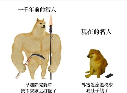 肌肉柴犬与小废柴梗图app