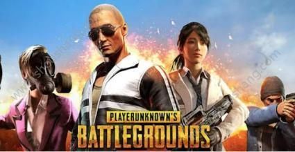 PUBG MOBILE LITE官方版图片2