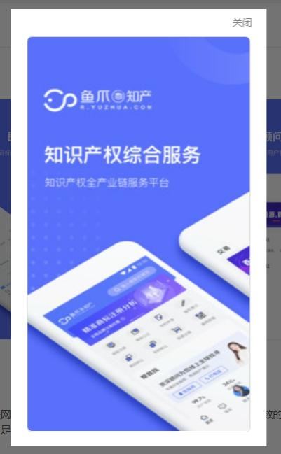 鱼爪知产app