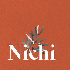 Nichi复古胶片