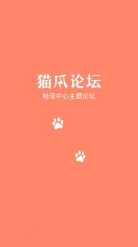 猫爪论坛答案阅读