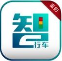 林城交警app