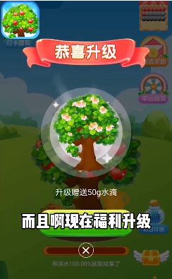 快乐果园极速版手机app