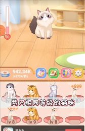 猫多多手机app