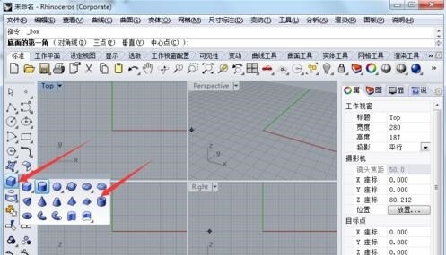 犀牛任务